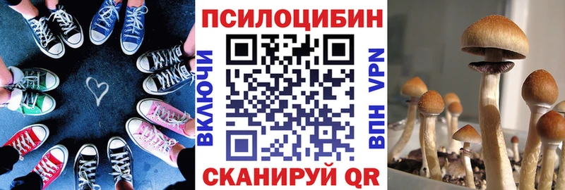 Галлюциногенные грибы Cubensis  закладки  гидра маркетплейс  Ессентуки 