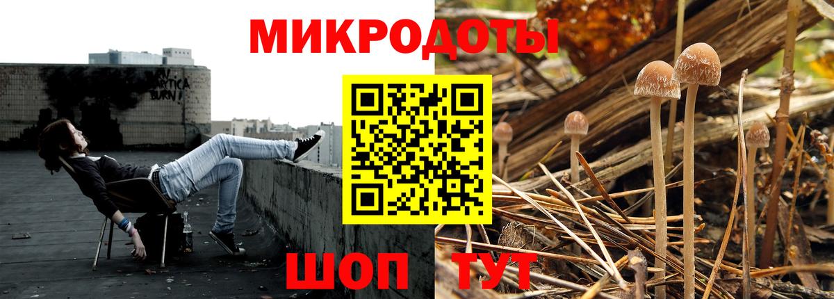 Псилоцибиновые грибы мицелий  Вход с VPN  где купить наркоту  Ессентуки 